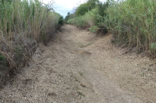 Palamós destinarà 2 MEUR a projectes per minimitzar riscos d'inundacions al municipi