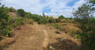 Figueres inicia les obres de restauració de les basses del Terrisser