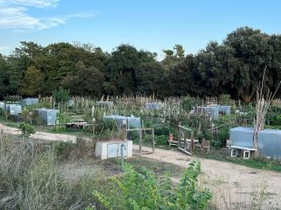 Tossa de Mar obre la convocatòria per a 27 horts urbans de Can Coure
