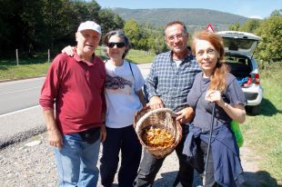 Les pluges de finals d'estiu salven una temporada de bolets que es preveu serà bona