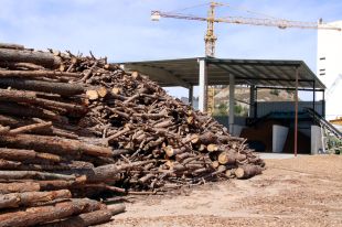 Creix la demanda de biomassa per culpa de la crisi energètica