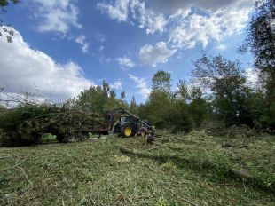 Restauren el paratge a tocar l'Estany de Banyoles que havia fet d'abocador il·legal