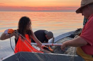 L'ICM-CSIC trasplanta milers de gorgònies del cap de Creus i modifica les arts de pesca artesanals