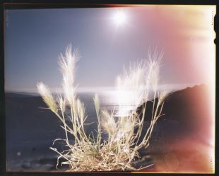 El festival InCadaqués tornarà a disposar dels espais exteriors de la casa de Dalí a Portlligat