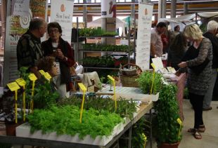 L'alimentació, la gastronomia i la salut, a la 7a edició d'Eco.Sí Girona