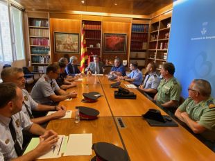 La detenció del multireincident de Banyoles fa baixar la xifra de delictes a la ciutat
