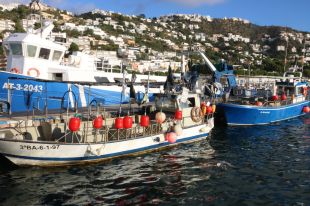 Aproven el pla de gestió de la pesca artesanal a Cap de Creus que fixa un cens de 27 barques professionals