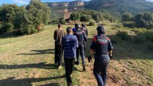 Sis detinguts per tenir una gran plantació de marihuana en un bosc de Susqueda