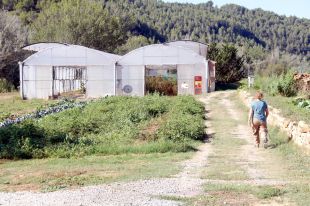 Les cooperatives agràries esperen triplicar els costos energètics i avisen que estan ''contra les cordes''