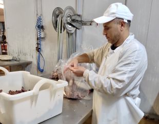 Les exportacions gironines cauen un 3,7% al novembre però ja freguen els 7.700 MEUR el 2024