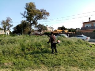 Obert el termini per a propietaris de parcel·les a la Selva que vulguin netejar-les per evitar incendis