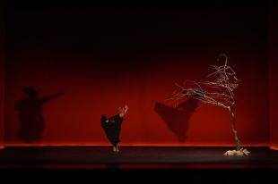 El Temporada Alta estrena 'Amore', un muntatge que combina música i poesia a ritme de fado