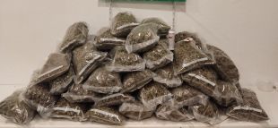 Enxampen a la Jonquera un home amb 37 kg de marihuana dins el cotxe