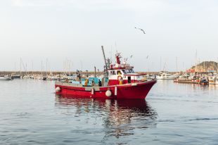El Govern destinarà 15,6 MEUR al desenvolupament del sector pesquer amb nous projectes