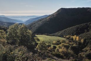 Comença el període d'aportacions a la diagnosi del Pla de Protecció del Parc Natural del Montseny