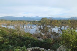 IAEDEN denuncia la construcció d'una macro granja de porcs a tocar l'Estany Llampol