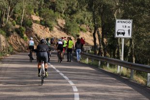Baixen un 23% els accidents amb ciclistes implicats a les carreteres de Girona
