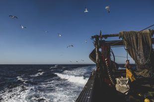 La flota d'arrossegament catalana pesca deixalles marines en un 97% de les sortides al mar