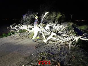 Els Bombers atenen dos avisos pel fort vent en les últimes hores a Girona