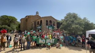 L'Estat accepta suspendre el ramal de la MAT a la Selva per estudiar alternatives
