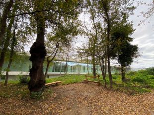 L’Hospital d’Olot adapta el bosc ''Els Tres Roures''