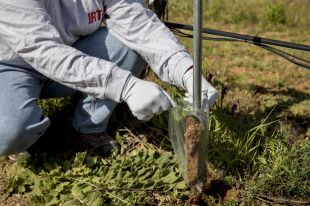 Dos projectes de recerca estudien com millorar la salut i els serveis ecosistèmics dels sòls agrícoles catalans