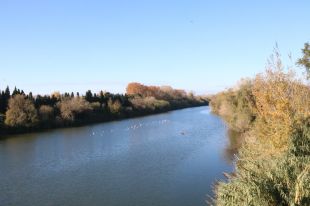Torroella, Gualta i Ullà s'uneixen per prevenir i minimitzar els efectes de les inundacions al Baix Ter