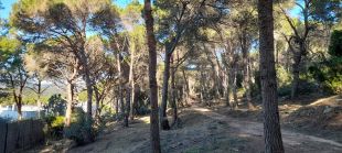 Palamós inicia les feines de prevenció d'incendis a l'entorn del camí de ronda