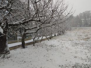 Alerta per acumulació de neu a la Cerdanya les properes hores