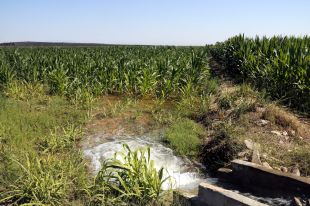 Acció Climàtica destina més de 800.000 euros a millorar i modernitzar les xarxes de regadius