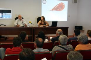 Els beneficis per la pesca de Gamba de Palamós han caigut a la meitat des de l'inici de la crisi 