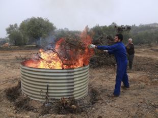 Les petites explotacions agràries ja poden cremar restes vegetals sense autorització excepcional 