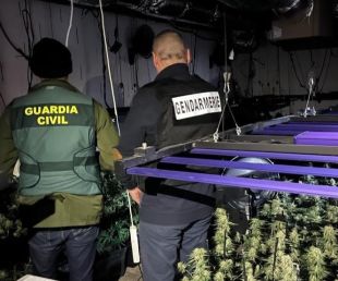 Desarticulen a la Selva un grup criminal que traficava droga amb França