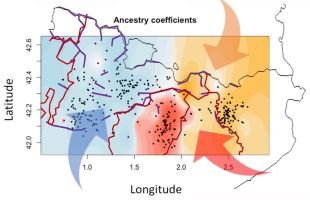 Els habitants del Pirineu gironí tenen ADN de poblacions del nord d'Europa segons un estudi