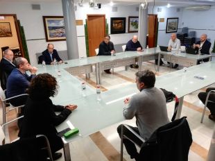 Cinc ajuntaments del Baix Empordà es reuneixen amb Endesa reclamant mesures per evitar talls de llum