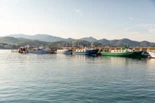 La flota d'arrossegament de la Costa Brava comença la veda de dos mesos