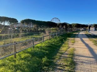Els pressupostos participats de Calonge escullen fer un espai de passeig seguint la riera