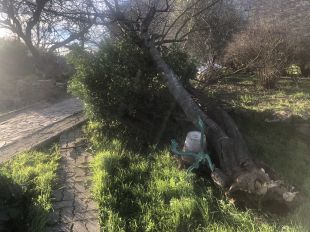 La tramuntana segueix forta a l'Empordà i els Bombers reben una quinzena d'avisos