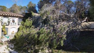 Busquen un home que tala arbres a Vilademuls per fer-los caure damunt d'instal·lacions municipals