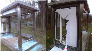 Un jove exaltat rebenta una marquesina de bus i malmet dos masos a Sant Aniol de Finestres
