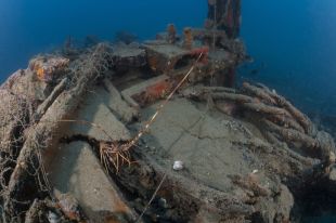 Acció Climàtica completa la prospecció del 70% de la superfície del fons marí, de Portbou a l'Ampolla