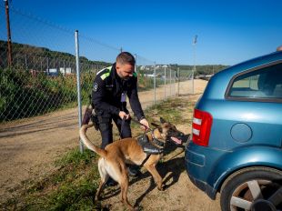 Lloret acull 25 gossos d'Unitats Canines en unes jornades amb policies d'arreu de Catalunya