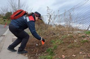 Olot consciencia els propietaris de gossos marcant les tifes abandonades amb banderoles