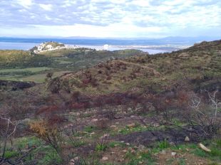 La UdG estudiarà com el foc pot ajudar a la biodiversitat a adaptar-se al canvi climàtic
