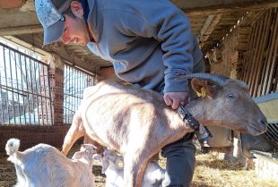 L'escola agrària de Santa Coloma participa en el nou Projecte de Mentoria per a Joves Agricultors