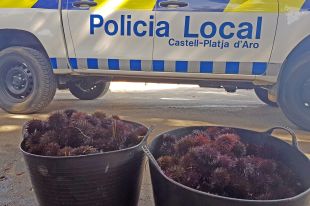 Denuncien dos pescadors furtius a S'Agaró per pescar més de 550 garoines en un sol dia