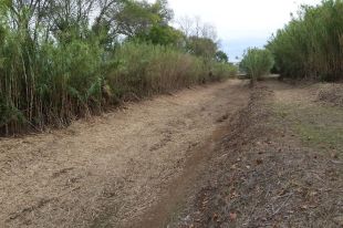 Palamós adjudica l'estudi per minimitzar el risc d'inundacions pel desbordament de la riera Aubi