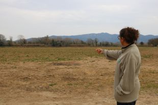 Les cooperatives alerten que, sense aigua, perillen les produccions de la majoria d’aliments