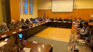 L'Alt Empordà demana ''el màxim respecte'' al territori a l'hora d'instal·lar parcs eòlics
