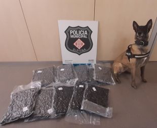 La Laika de la Policia Municipal localitza sis quilos de marihuana dins un autobús a Girona